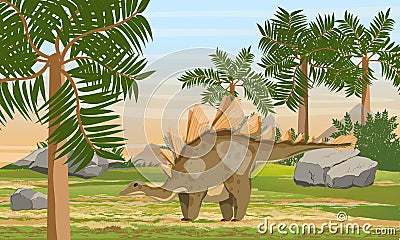 Stegosaurus in prehistoric scale with stones and tree ferns. Prehistoric animals and plants. Scene from Mesozoic or Jurassic perio Vector Illustration