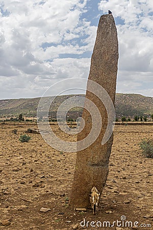 Stele at Gudit Stelae field in Axum, Ethiop Stock Photo