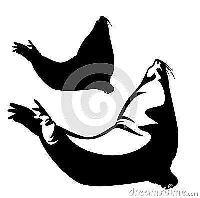 Steller sea lion vector design Vector Illustration