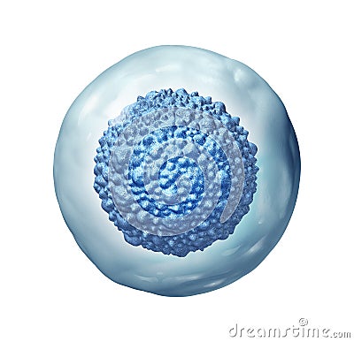 Stem Cell Biology Cartoon Illustration