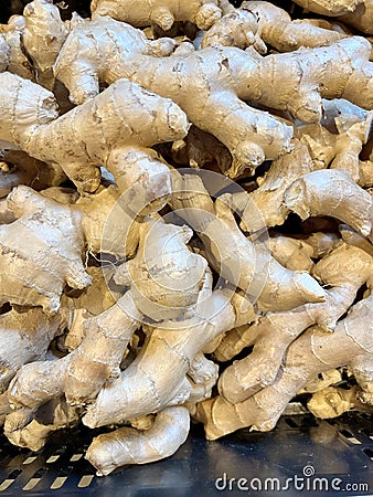 Stem Ginger Stock Photo