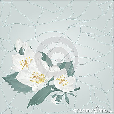 Stem Jasmine flower and buds on a blue background cracks in the porcelain place for text vintage vector illustration editable Vector Illustration