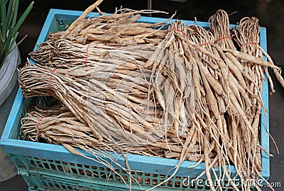 Stemona tuberosa Lour roots. Cancer treatment Stock Photo