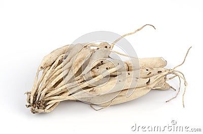 Stemona tuberosa Lour.roots. Stock Photo