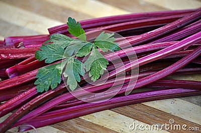 Stems from beet tops young table_2 Stock Photo