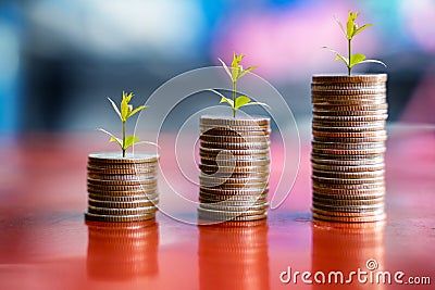 Step of coins stacks with tree growing on top and sandglass.or hourglass, saving and investment or family planning concept, motion Stock Photo