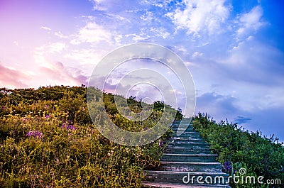 Step on the hill Stock Photo