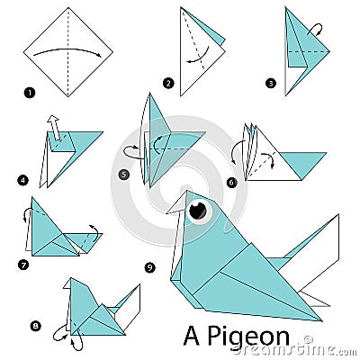 origami pigeon step instructions paper animal cute steps toy cartoon vector
