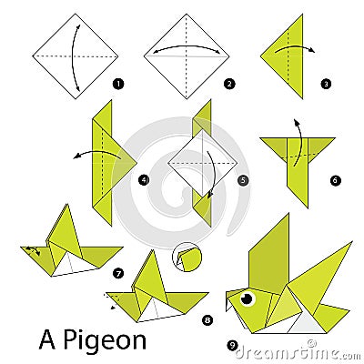 Step by step instructions how to make origami A Pigeon. Vector Illustration