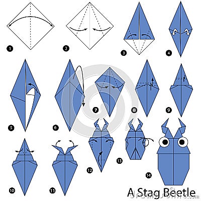 Step by step instructions how to make origami A Stag Beetle Vector Illustration