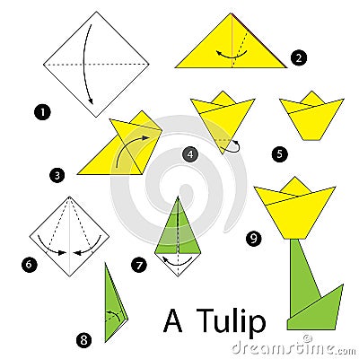 Step By Step Instructions How To Make Origami Tulip. Stock Illustration ...