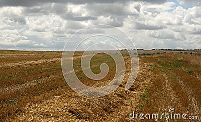 Steppe Stock Photo