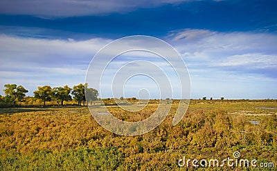 Steppe Stock Photo