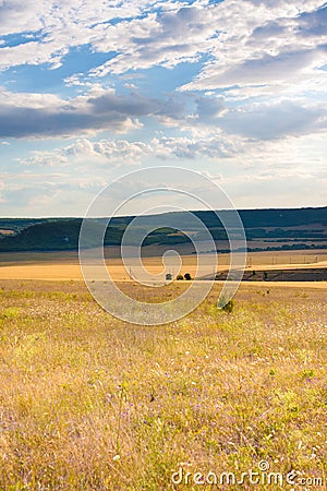 Steppe Stock Photo