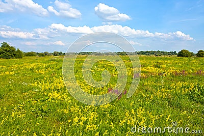 Steppe landscape Stock Photo