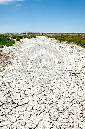 Steppe saline soils. saline salt in salt. steppe prairie ve Stock Photo