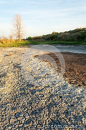 Steppe saline soils. saline salt in salt. steppe prairie ve Stock Photo