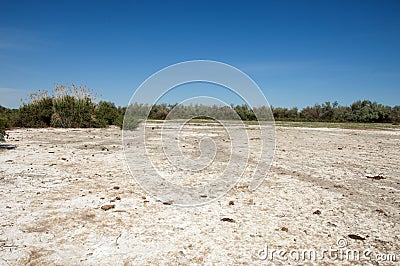 Steppe saline soils Stock Photo