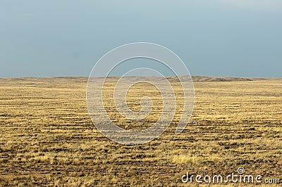 Steppe. Treeless, poor moisture and generally flat area with grassy vegetation in the Dry Zone. Stock Photo