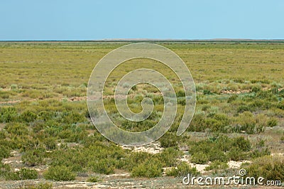 Steppe. Treeless, poor moisture and generally flat area with grassy vegetation in the Dry Zone. prairie, veld, veldt Stock Photo