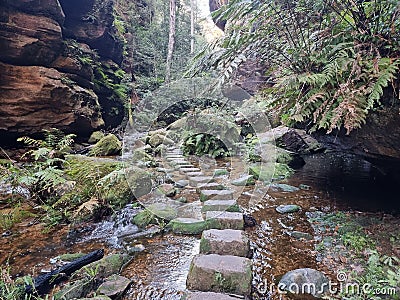 Stepping Stones on Greaves Creek near a cliff on the Grand Canyon Track in the Blue Mountains Stock Photo