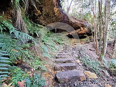 Stepping stones on the Prince Henry Cliff Track in the Blue Mountains of New south Wales Stock Photo