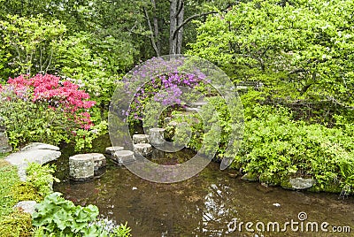 Stepping Stones to Cross a Garden Stream Stock Photo