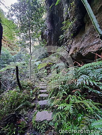 Stepping stones under a cliff wall on the Grand Canyon Track in the Blue Mountains Stock Photo