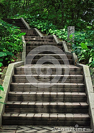 Steps Stock Photo