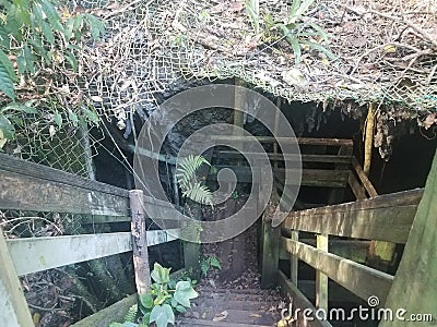 Steps down to cave in the Guajataca forest in Puerto Rico Stock Photo