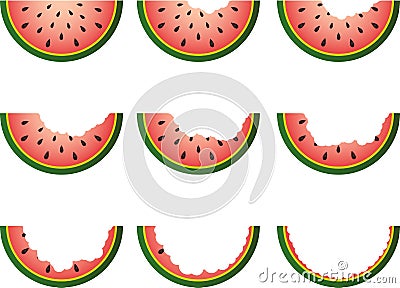 Steps Eating Slice Watermelon Vector Illustration