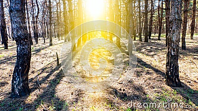 Steps Leading Sun Way God Bright Light Heaven Religious . Stock Photo