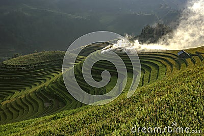 The steps of the most beautiful and emblematic of Vietnam. Stock Photo