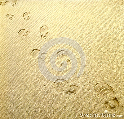 Steps on the sand_1 design Stock Photo