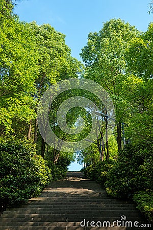 Steps shaded by trees in the Chongqing Air Force Anti-Japanese War Memorial Park Editorial Stock Photo