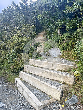 The steps climbing up the steep Sealy Tarns track often called the stairway to heaven Stock Photo