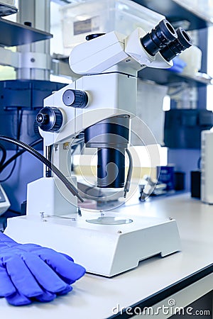 Stereomicroscope pharmaceutical bioscience research in laboratory. Concept of science, laboratory and study of diseases Stock Photo