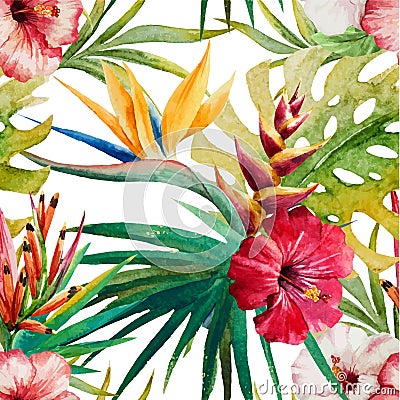 Sterlitzia tropical pattern Vector Illustration