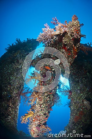 Stern and propeller of the Dunraven shipwreck. Stock Photo