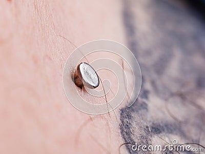 Sternum, cleavage, microdermal, surface piercing on collarbones. Stock Photo