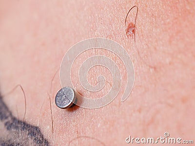 Sternum, cleavage, microdermal, surface piercing on collarbones. Stock Photo