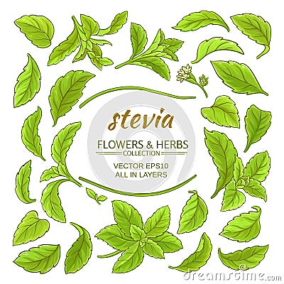 Stevia elements vector set Vector Illustration