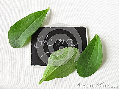 Stevia leaves and nameplate Stock Photo