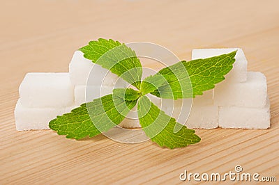 Stevia leaves Stock Photo