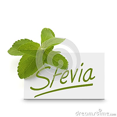 Stevia rebaudiana over white Stock Photo