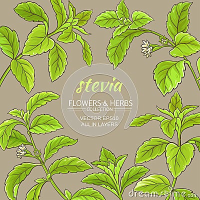 Stevia vector frame Vector Illustration