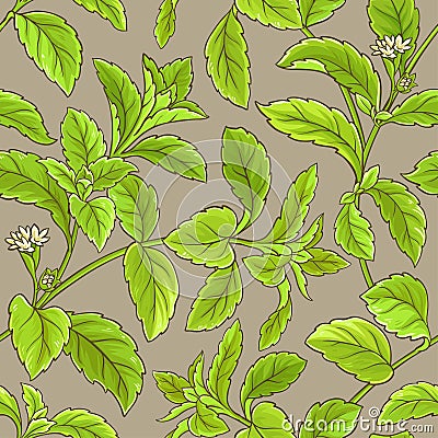 Stevia vector pattern Vector Illustration