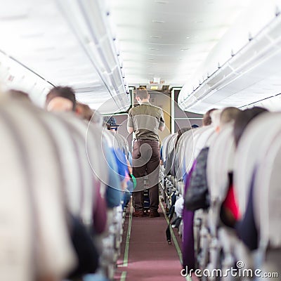 Steward on the airplane. Editorial Stock Photo