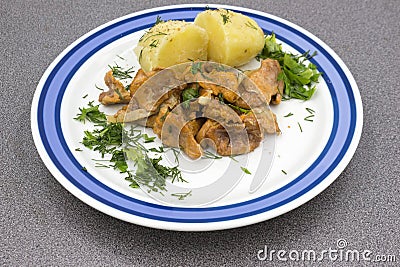 Stewed chanterelles in white sauce with boiled potatoes Stock Photo