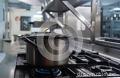A stewpot getting cooked on stove Stock Photo